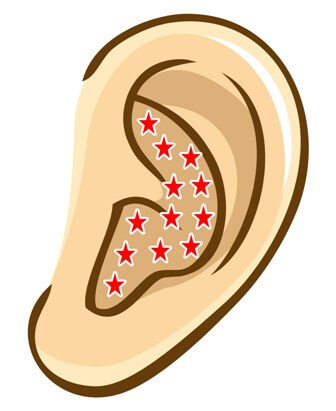 耳の迷走神経
